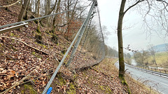 Schutzzaun bei Untereschenbach [HFF]