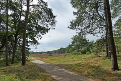 Nederland - Ugchelen, Het Leesten Nederland - Ugchelen, Het Leesten