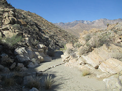 Indian Canyons 08