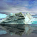 Groenlandia : Ilulissat - centinaia di iceberg galleggiano nel fiordo -