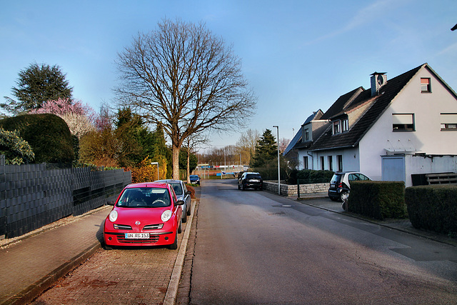 Untere Wülle (Schwerte-Wandhofen) / 9.03.2024