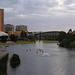 River Torrens View