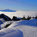 Rigi Jan. 24