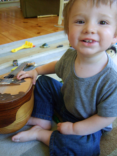 Shepherd, 18 months #2