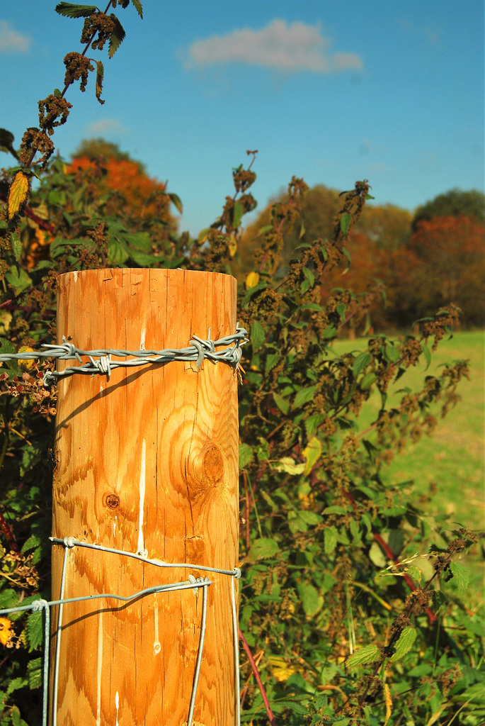 Fence post!