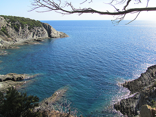 Ile de Port-Cros 3