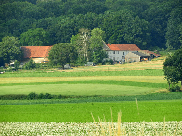 Rural Farm