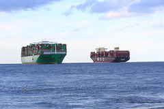 EVER GLORY und MSC NAPOLI