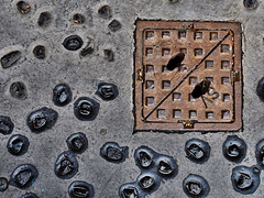 Tar bubbles