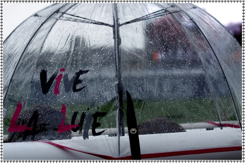 Une pluie de chevaux