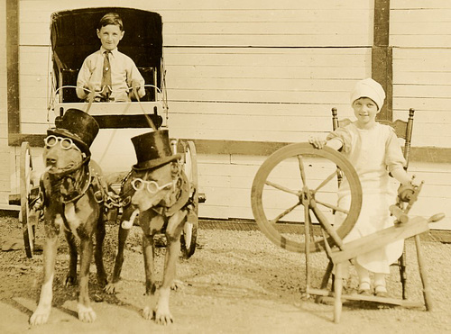 Spinning a Tale of Dogs in Glasses (Cropped)