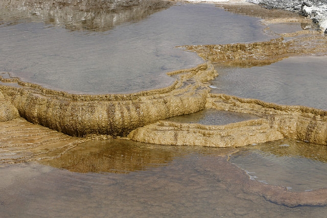 Minerva Terrace, Mammoth Hot Springs