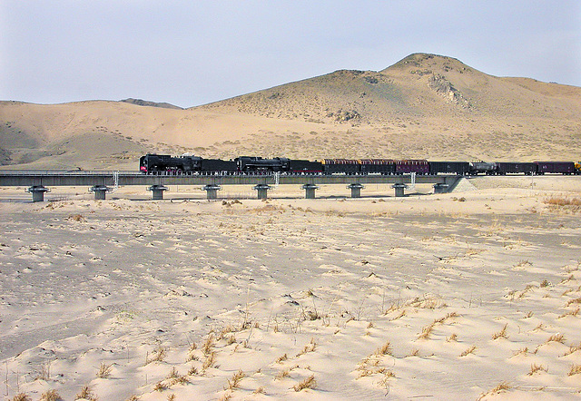 Bridging the desert