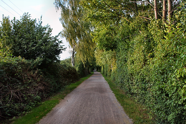 Radweg auf der ehem. Trasse der Zechenbahn Monopol (Bergkamen) / 17.09.2022