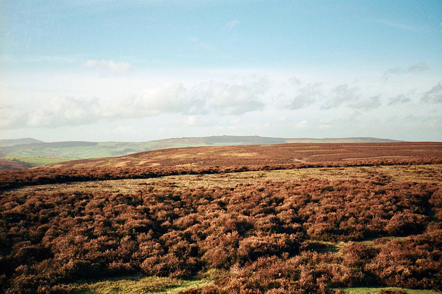 View from Shooting Box towards the Stipperstones (Jan 1990, scan)