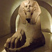 Sphinx from Tanis in the Louvre, June 2013