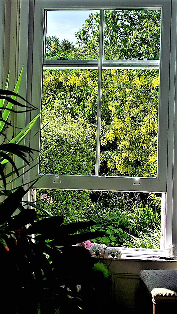 View through the lounge window on 26.5.21