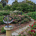 Heritage roses Adelaide