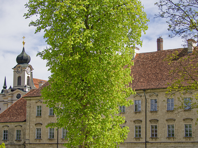 Klosterkirche mit Prälatenstock - PiP