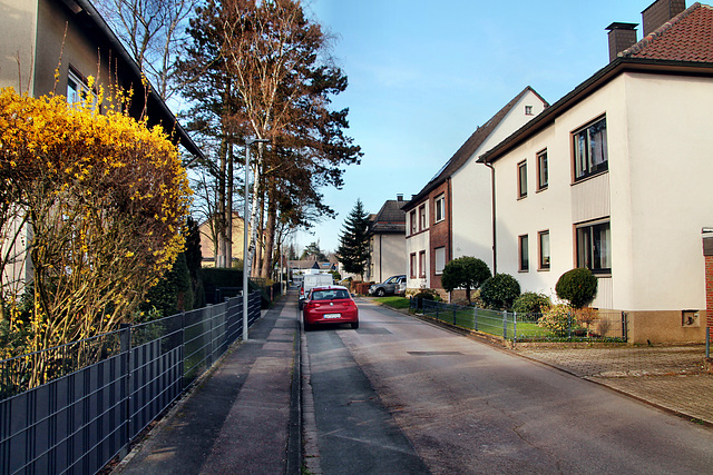 Zum Spielpark (Schwerte-Wandhofen) / 9.03.2024