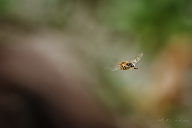 And away.....