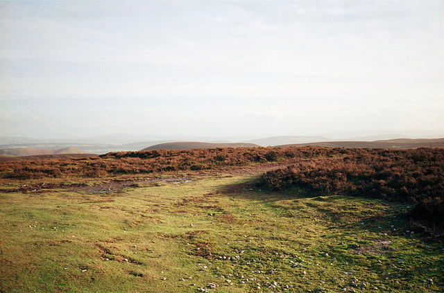 View eastward from Pole Bank (516m) (Jan 1990 scan)