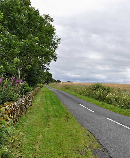 Scotland St. Cuthbert's Way