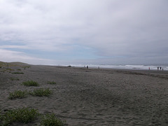 Verdure de plage