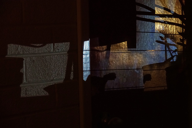 Shadows