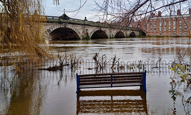 HBM from Shrewsbury