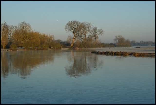 Thames on a still winter morning