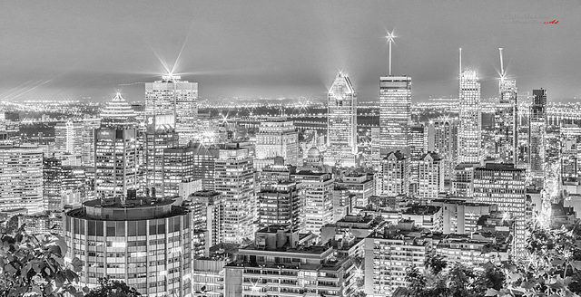 Montréal en lumières IMGP9639