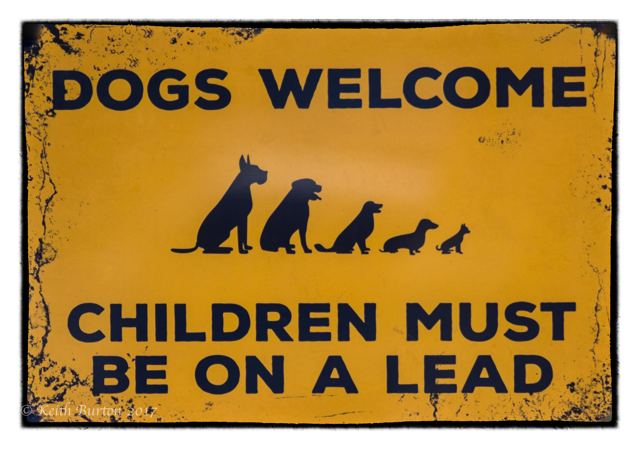 Dogs Welcome........