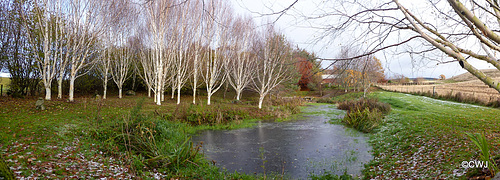 Frosty morning - skating rink should be opening shortly!