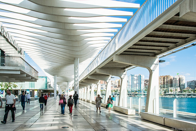 Hafenpromenade Malaga (© Buelipix)