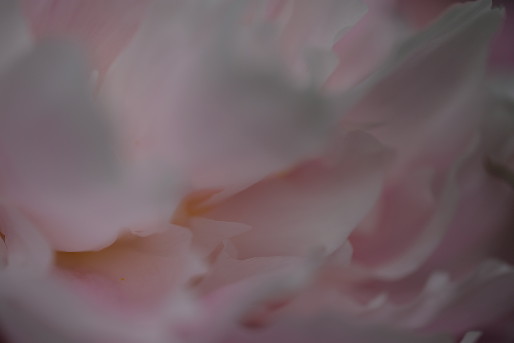 DSCF9761