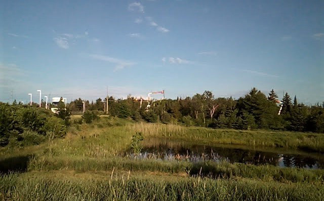 Hotel pond / Étang hôtelier