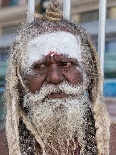 Sadhu