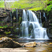 East Gill Force