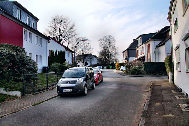 Violainesstraße (Schwerte-Wandhofen) / 9.03.2024