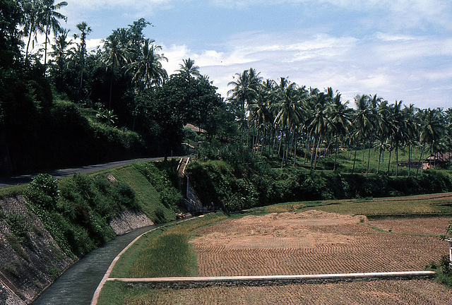 Traumhafte Landschaften auf Bali