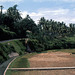 Traumhafte Landschaften auf Bali