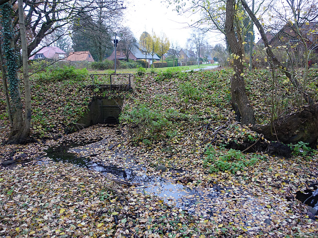 wasserlauf-06901