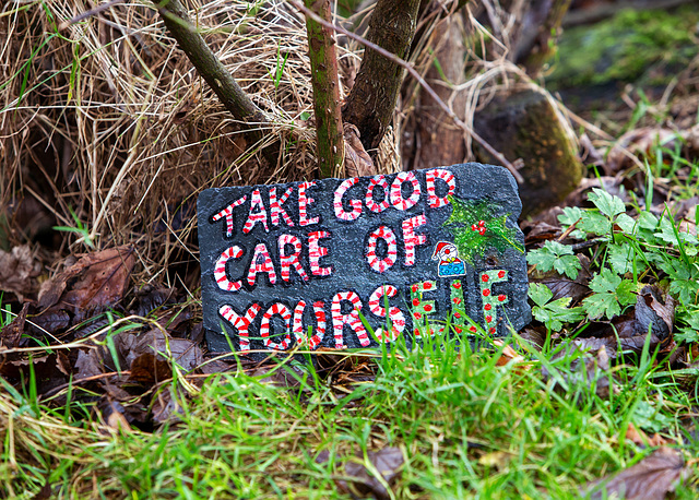 Take Good Care of YoursELF