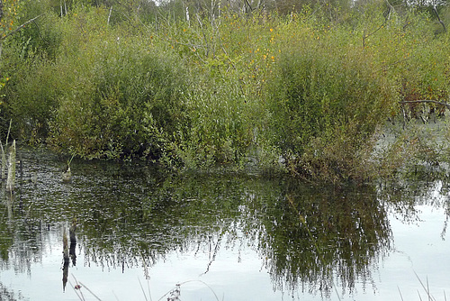 P1240994