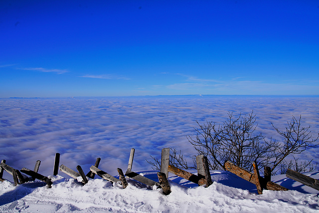 Rigi Jan. 24 / Auch die Schweiz hat ein Meer!