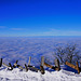 Rigi Jan. 24 / Auch die Schweiz hat ein Meer!