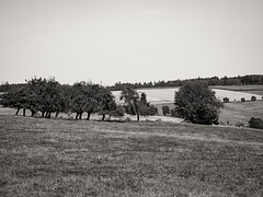 Nordpfalz im Spätsommer