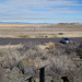 Lava Beds Natl Mon Modoc War / Bureau of Reclamation (0998)