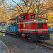 Lok Nr. 6006 der Chemnitzer Parkeisenbahn